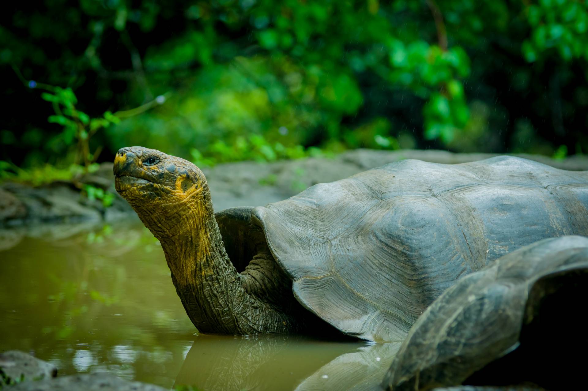 destinatii pentru iubitorii de natura galapagos