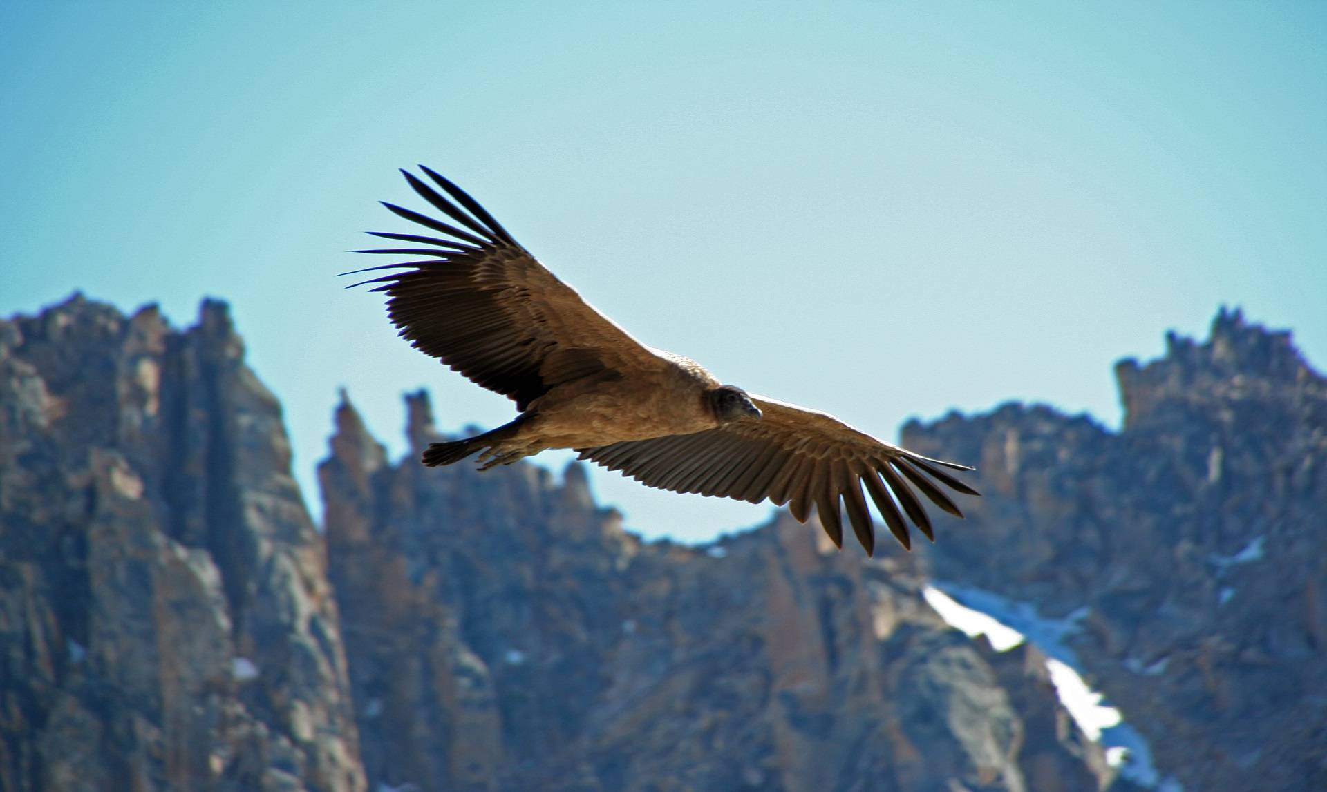 destinatii pentru iubitorii de natura patagonia 2